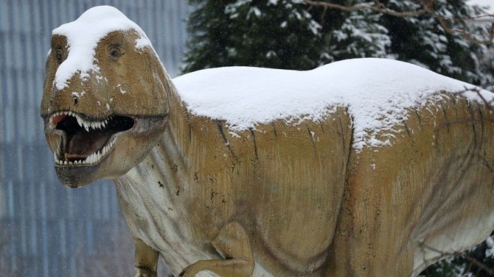 The dinosaurs died a cold, dark death, new study shows 